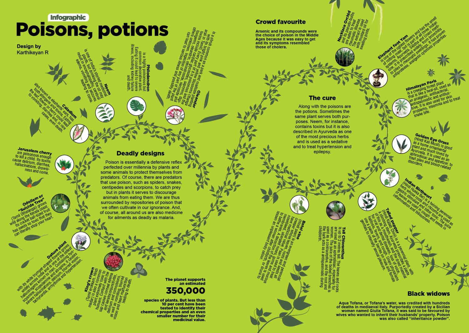Poisons, Potions 