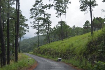 No home in the hills